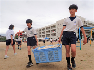 P5257556_R.PNG