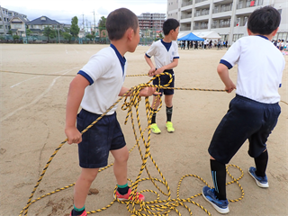 P5257558_R.PNG