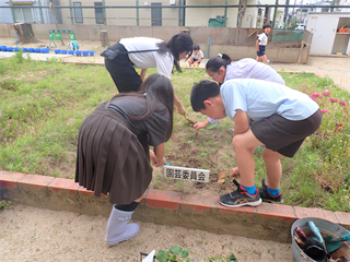 P5297580_R.PNG