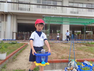 P5297582_R.PNG