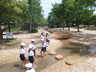 P5301851_R.PNG