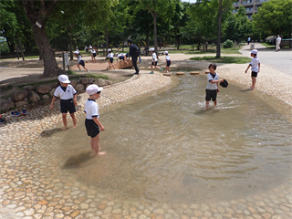 P5301852_R.PNG