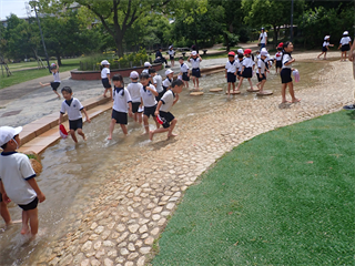 P5301872_R.PNG