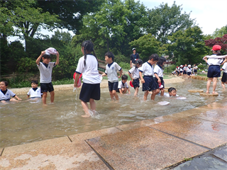 P5301875_R.PNG