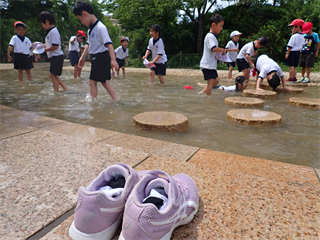 P5301882_R.PNG