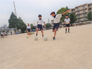 P6027712_R.PNG