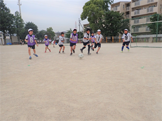 P6027727_R.PNG