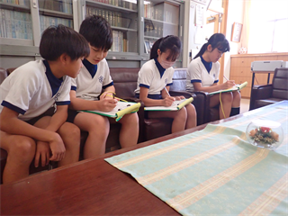 P6047742_R.PNG