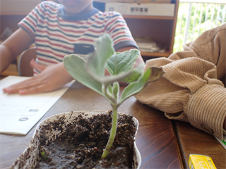 P6052077_R.PNG