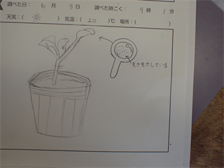 P6052082_R.PNG