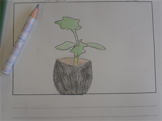 P6052083_R.PNG