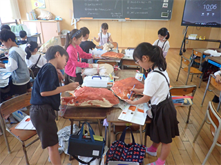 P6062102_R.PNG