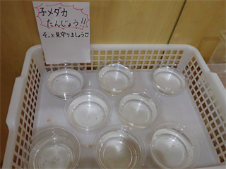 P6117881_R.PNG