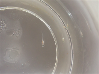 P6117885_R.PNG
