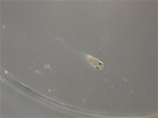 P6117891_R.PNG