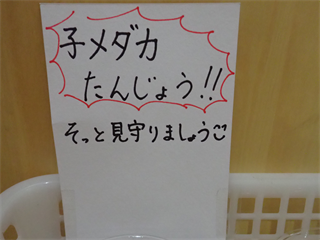 P6117895_R.PNG
