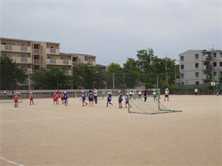 P6172329_R.PNG