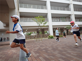 P6172337_R.PNG