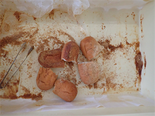 P6182350_R.PNG