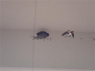 P6262462_R.PNG