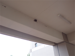 P6262466_R.PNG