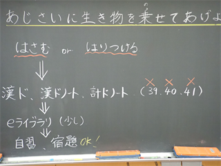 P6278189_R.PNG