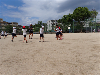 P7042648_R.PNG