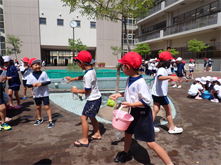 P7108362_R.PNG