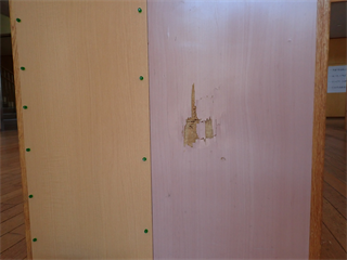 P7238509_R.PNG