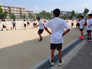 P8298546_R.PNG