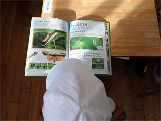 PA159138_R.PNG