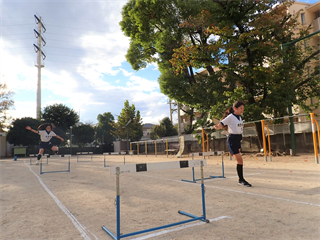 PA209219_R.PNG