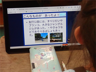 PA249273_R.PNG