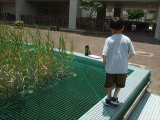 DSCF1704　2年_R.JPG