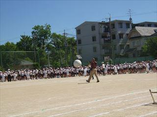 ①DSCF1118　大玉白_R.JPG