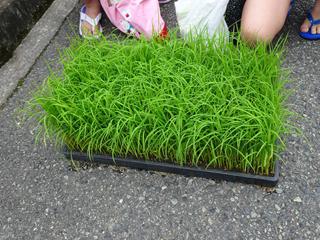 DSC00026_R.JPG
