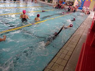 DSC00155_R.JPG