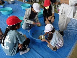 DSC00209_R.JPG