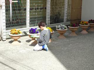 DSC06603_R.JPG