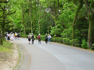 DSC06859_R.JPG
