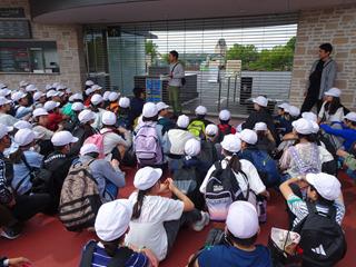 DSC06880_R.JPG