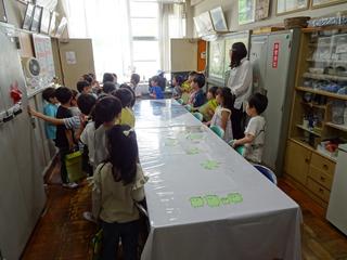 DSC06956_R.JPG