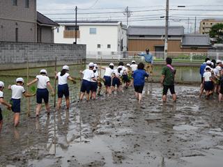 DSC07031_R.JPG