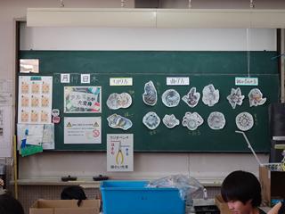 DSC07077_R.JPG