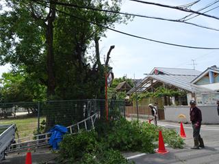 DSC07229_R.JPG