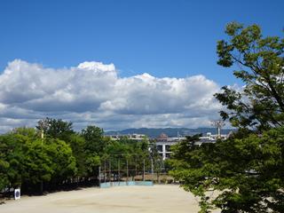 DSC07365_R.JPG