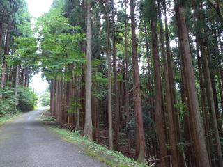 DSC07485_R.JPG