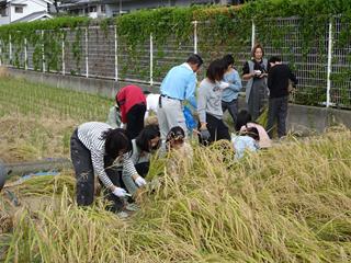 DSC07628_R.JPG
