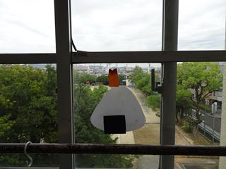 DSC07875_R.JPG