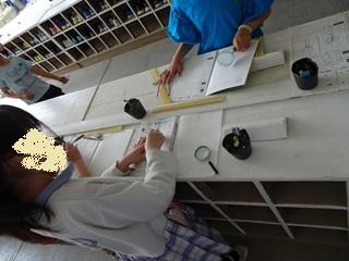 DSC09575_R.JPG